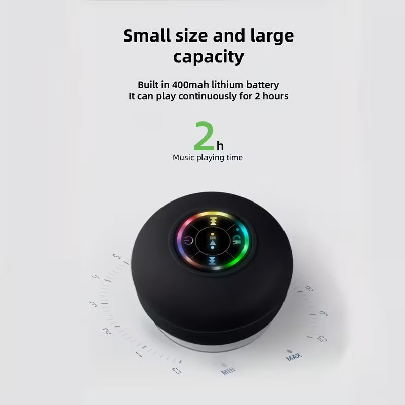 Portable Speaker