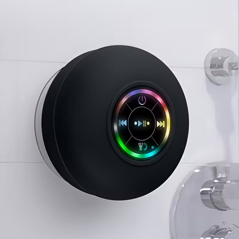 Portable Speaker